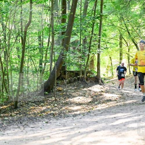 28.09.2025 - 33. Volkslauf durch das schöne Alstertal Dr. Thomas Lammeyer http://msf.ph/oto/8962141 28.09.2025 11:10:08 Laufen  meine-sportfotos.de