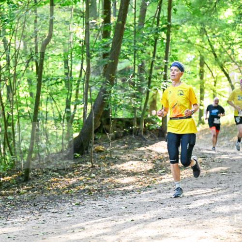 28.09.2025 - 33. Volkslauf durch das schöne Alstertal Dr. Thomas Lammeyer http://msf.ph/oto/8962142 28.09.2025 11:10:09 Laufen  meine-sportfotos.de
