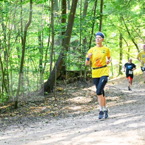 28.09.2025 - 33. Volkslauf durch das schöne Alstertal Dr. Thomas Lammeyer http://msf.ph/oto/8962143 28.09.2025 11:10:09 Laufen  meine-sportfotos.de