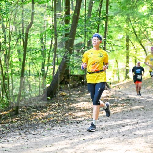 28.09.2025 - 33. Volkslauf durch das schöne Alstertal Dr. Thomas Lammeyer http://msf.ph/oto/8962145 28.09.2025 11:10:09 Laufen 3937 meine-sportfotos.de