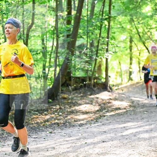 28.09.2025 - 33. Volkslauf durch das schöne Alstertal Dr. Thomas Lammeyer http://msf.ph/oto/8962152 28.09.2025 11:10:10 Laufen 201 meine-sportfotos.de