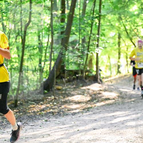28.09.2025 - 33. Volkslauf durch das schöne Alstertal Dr. Thomas Lammeyer http://msf.ph/oto/8962153 28.09.2025 11:10:10 Laufen  meine-sportfotos.de