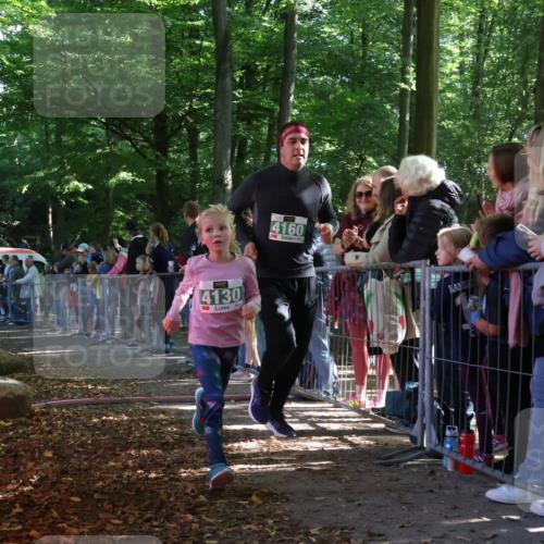 28.09.2025 - 33. Volkslauf durch das schöne Alstertal Strokosch-Dieckow http://msf.ph/oto/8962156 28.09.2025 10:57:15 Ziel 4129, 4130, 4160 meine-sportfotos.de