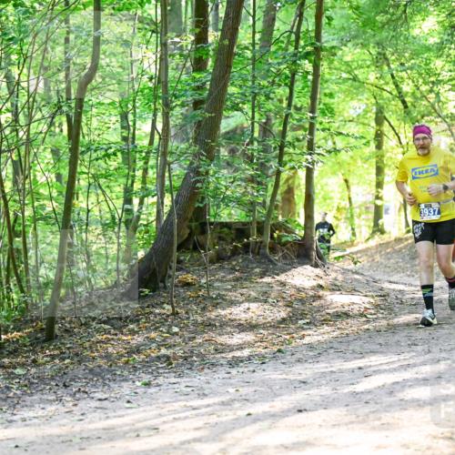 28.09.2025 - 33. Volkslauf durch das schöne Alstertal Dr. Thomas Lammeyer http://msf.ph/oto/8962157 28.09.2025 11:10:10 Laufen 3937 meine-sportfotos.de