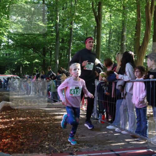 28.09.2025 - 33. Volkslauf durch das schöne Alstertal Strokosch-Dieckow http://msf.ph/oto/8962163 28.09.2025 10:57:16 Ziel 4129, 4130, 4160 meine-sportfotos.de