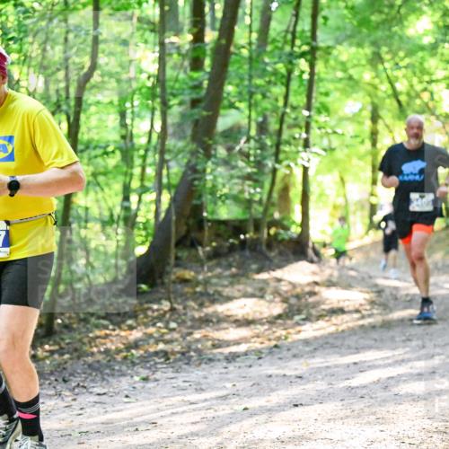 28.09.2025 - 33. Volkslauf durch das schöne Alstertal Dr. Thomas Lammeyer http://msf.ph/oto/8962170 28.09.2025 11:10:13 Laufen 3937 meine-sportfotos.de