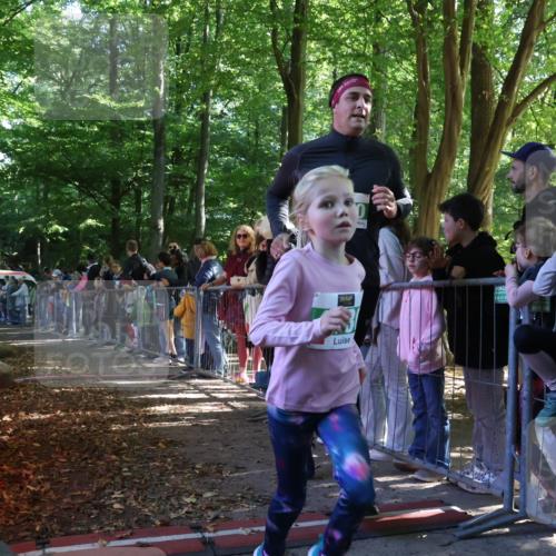 28.09.2025 - 33. Volkslauf durch das schöne Alstertal Strokosch-Dieckow http://msf.ph/oto/8962171 28.09.2025 10:57:16 Ziel 4129, 4130, 4160 meine-sportfotos.de