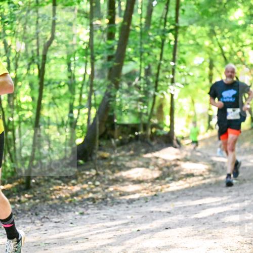 28.09.2025 - 33. Volkslauf durch das schöne Alstertal Dr. Thomas Lammeyer http://msf.ph/oto/8962172 28.09.2025 11:10:13 Laufen 1937 meine-sportfotos.de