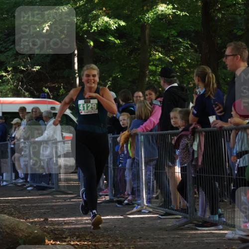 28.09.2025 - 33. Volkslauf durch das schöne Alstertal Strokosch-Dieckow http://msf.ph/oto/8962184 28.09.2025 10:57:23 Ziel 4080, 4125, 4129 meine-sportfotos.de