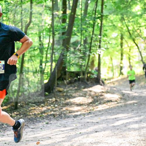 28.09.2025 - 33. Volkslauf durch das schöne Alstertal Dr. Thomas Lammeyer http://msf.ph/oto/8962188 28.09.2025 11:10:15 Laufen 3405 meine-sportfotos.de