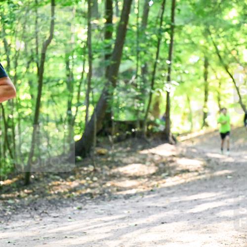 28.09.2025 - 33. Volkslauf durch das schöne Alstertal Dr. Thomas Lammeyer http://msf.ph/oto/8962189 28.09.2025 11:10:15 Laufen 3405 meine-sportfotos.de