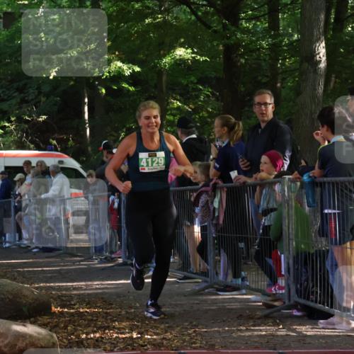 28.09.2025 - 33. Volkslauf durch das schöne Alstertal Strokosch-Dieckow http://msf.ph/oto/8962191 28.09.2025 10:57:23 Ziel 4080, 4125, 4129 meine-sportfotos.de