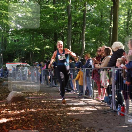 28.09.2025 - 33. Volkslauf durch das schöne Alstertal Strokosch-Dieckow http://msf.ph/oto/8962203 28.09.2025 10:57:24 Ziel 4080, 4125, 4129 meine-sportfotos.de