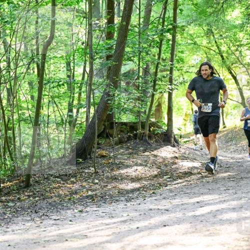 28.09.2025 - 33. Volkslauf durch das schöne Alstertal Dr. Thomas Lammeyer http://msf.ph/oto/8962204 28.09.2025 11:10:23 Laufen 3959, 3318, 3260 meine-sportfotos.de