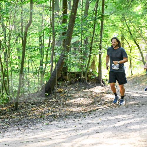 28.09.2025 - 33. Volkslauf durch das schöne Alstertal Dr. Thomas Lammeyer http://msf.ph/oto/8962206 28.09.2025 11:10:24 Laufen 3959, 3260 meine-sportfotos.de