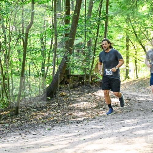 28.09.2025 - 33. Volkslauf durch das schöne Alstertal Dr. Thomas Lammeyer http://msf.ph/oto/8962208 28.09.2025 11:10:24 Laufen 3959, 3260, 30 meine-sportfotos.de