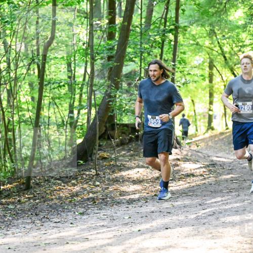 28.09.2025 - 33. Volkslauf durch das schöne Alstertal Dr. Thomas Lammeyer http://msf.ph/oto/8962212 28.09.2025 11:10:24 Laufen 3959, 3260, 3, 3037 meine-sportfotos.de