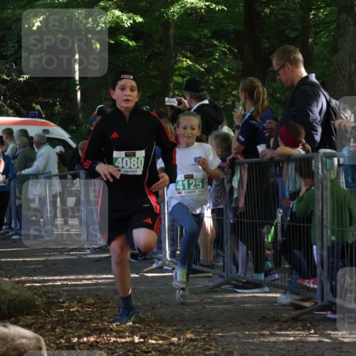 28.09.2025 - 33. Volkslauf durch das schöne Alstertal Strokosch-Dieckow http://msf.ph/oto/8962227 28.09.2025 10:57:30 Ziel 4013, 4080, 4087, 4125, 4126, 4921 meine-sportfotos.de