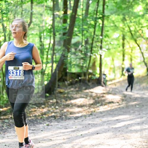 28.09.2025 - 33. Volkslauf durch das schöne Alstertal Dr. Thomas Lammeyer http://msf.ph/oto/8962238 28.09.2025 11:10:28 Laufen 3318 meine-sportfotos.de