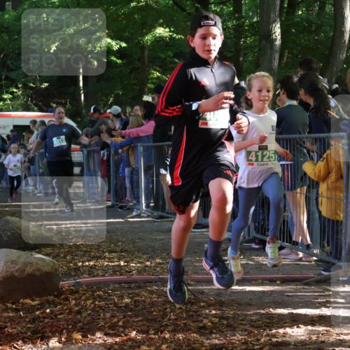 28.09.2025 - 33. Volkslauf durch das schöne Alstertal Strokosch-Dieckow http://msf.ph/oto/8962240 28.09.2025 10:57:31 Ziel 4013, 4080, 4087, 4125, 4126, 4920, 4921 meine-sportfotos.de