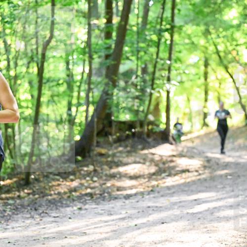28.09.2025 - 33. Volkslauf durch das schöne Alstertal Dr. Thomas Lammeyer http://msf.ph/oto/8962241 28.09.2025 11:10:29 Laufen 3318 meine-sportfotos.de