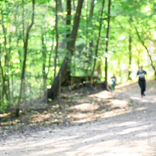 28.09.2025 - 33. Volkslauf durch das schöne Alstertal Dr. Thomas Lammeyer http://msf.ph/oto/8962242 28.09.2025 11:10:29 Laufen  meine-sportfotos.de