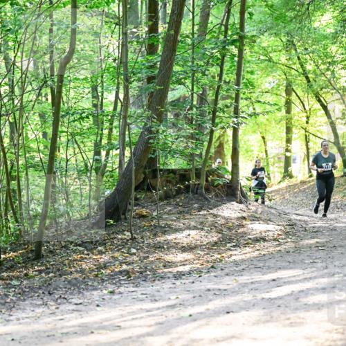 28.09.2025 - 33. Volkslauf durch das schöne Alstertal Dr. Thomas Lammeyer http://msf.ph/oto/8962245 28.09.2025 11:10:29 Laufen  meine-sportfotos.de