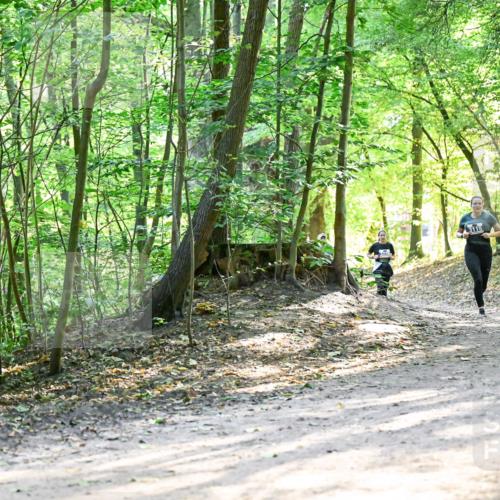 28.09.2025 - 33. Volkslauf durch das schöne Alstertal Dr. Thomas Lammeyer http://msf.ph/oto/8962247 28.09.2025 11:10:29 Laufen 3115 meine-sportfotos.de