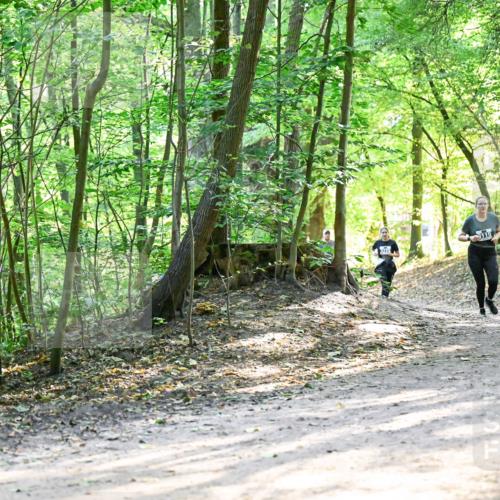 28.09.2025 - 33. Volkslauf durch das schöne Alstertal Dr. Thomas Lammeyer http://msf.ph/oto/8962249 28.09.2025 11:10:29 Laufen 3115 meine-sportfotos.de