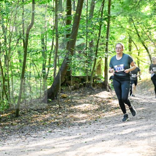 28.09.2025 - 33. Volkslauf durch das schöne Alstertal Dr. Thomas Lammeyer http://msf.ph/oto/8962253 28.09.2025 11:10:33 Laufen 3115, 3376 meine-sportfotos.de