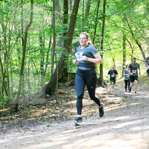 28.09.2025 - 33. Volkslauf durch das schöne Alstertal Dr. Thomas Lammeyer http://msf.ph/oto/8962258 28.09.2025 11:10:34 Laufen 3278, 3017 meine-sportfotos.de