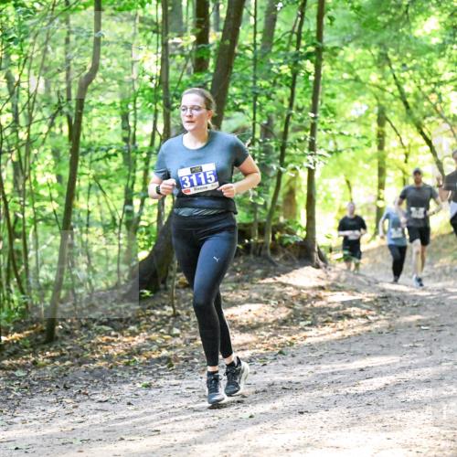 28.09.2025 - 33. Volkslauf durch das schöne Alstertal Dr. Thomas Lammeyer http://msf.ph/oto/8962261 28.09.2025 11:10:34 Laufen 3115 meine-sportfotos.de