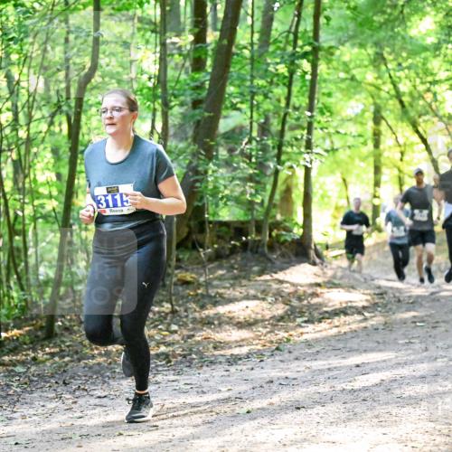 28.09.2025 - 33. Volkslauf durch das schöne Alstertal Dr. Thomas Lammeyer http://msf.ph/oto/8962263 28.09.2025 11:10:34 Laufen 3115, 3 meine-sportfotos.de