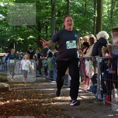 28.09.2025 - 33. Volkslauf durch das schöne Alstertal Strokosch-Dieckow http://msf.ph/oto/8962265 28.09.2025 10:57:35 Ziel 4013, 4087, 4088, 4119, 4126, 4920, 4921 meine-sportfotos.de