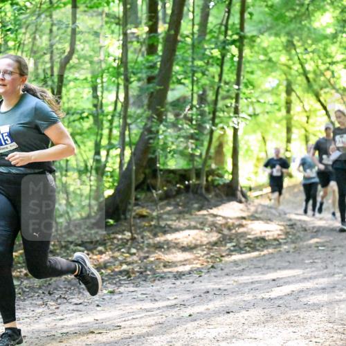 28.09.2025 - 33. Volkslauf durch das schöne Alstertal Dr. Thomas Lammeyer http://msf.ph/oto/8962266 28.09.2025 11:10:34 Laufen 3115 meine-sportfotos.de