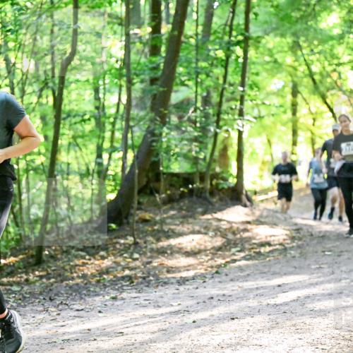 28.09.2025 - 33. Volkslauf durch das schöne Alstertal Dr. Thomas Lammeyer http://msf.ph/oto/8962267 28.09.2025 11:10:35 Laufen 3115 meine-sportfotos.de