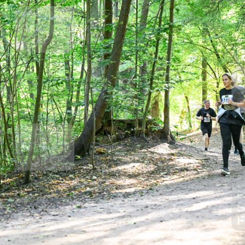 28.09.2025 - 33. Volkslauf durch das schöne Alstertal Dr. Thomas Lammeyer http://msf.ph/oto/8962271 28.09.2025 11:10:35 Laufen 3279, 337 meine-sportfotos.de