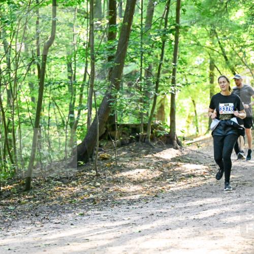 28.09.2025 - 33. Volkslauf durch das schöne Alstertal Dr. Thomas Lammeyer http://msf.ph/oto/8962274 28.09.2025 11:10:36 Laufen 3376 meine-sportfotos.de