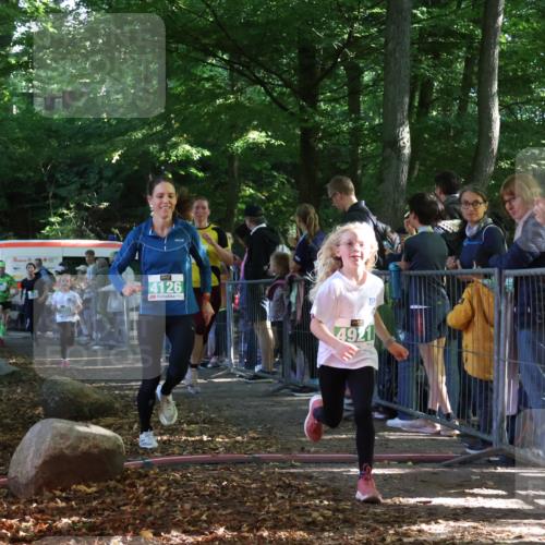 28.09.2025 - 33. Volkslauf durch das schöne Alstertal Strokosch-Dieckow http://msf.ph/oto/8962279 28.09.2025 10:57:36 Ziel 4013, 4087, 4088, 4119, 4126, 4920, 4921 meine-sportfotos.de