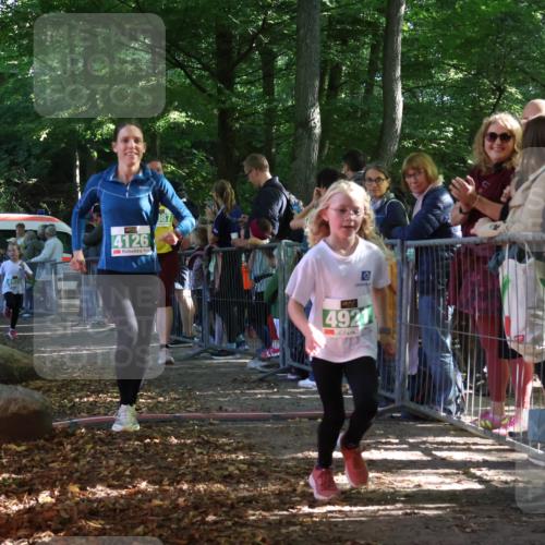 28.09.2025 - 33. Volkslauf durch das schöne Alstertal Strokosch-Dieckow http://msf.ph/oto/8962287 28.09.2025 10:57:36 Ziel 4013, 4087, 4088, 4119, 4126, 4920, 4921 meine-sportfotos.de