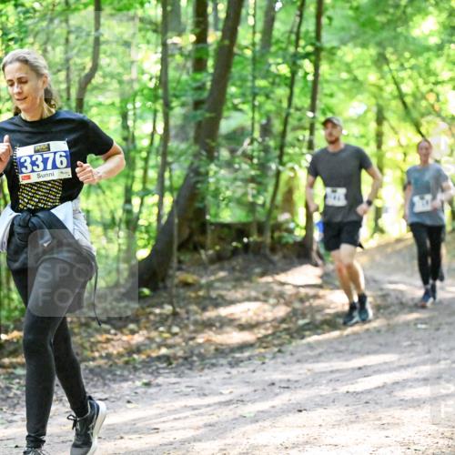 28.09.2025 - 33. Volkslauf durch das schöne Alstertal Dr. Thomas Lammeyer http://msf.ph/oto/8962288 28.09.2025 11:10:38 Laufen 3376, 2418, 44 meine-sportfotos.de