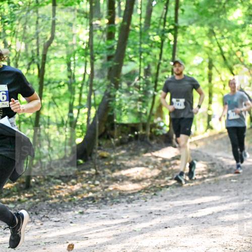 28.09.2025 - 33. Volkslauf durch das schöne Alstertal Dr. Thomas Lammeyer http://msf.ph/oto/8962289 28.09.2025 11:10:38 Laufen 3376, 197, 4184, 4444444184, 18, 4424, 4, 18, 4, 4, 1 meine-sportfotos.de