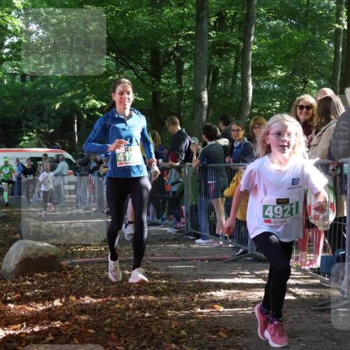 28.09.2025 - 33. Volkslauf durch das schöne Alstertal Strokosch-Dieckow http://msf.ph/oto/8962295 28.09.2025 10:57:37 Ziel 4087, 4088, 4103, 4119, 4126, 4920, 4921 meine-sportfotos.de