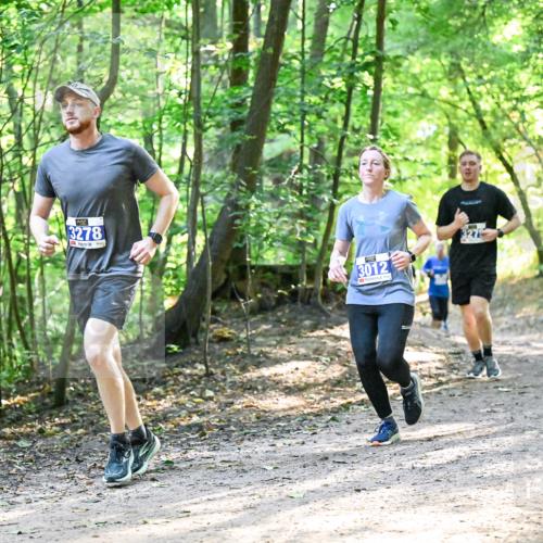 28.09.2025 - 33. Volkslauf durch das schöne Alstertal Dr. Thomas Lammeyer http://msf.ph/oto/8962297 28.09.2025 11:10:39 Laufen 3278, 3012 meine-sportfotos.de