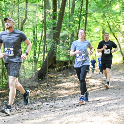 28.09.2025 - 33. Volkslauf durch das schöne Alstertal Dr. Thomas Lammeyer http://msf.ph/oto/8962298 28.09.2025 11:10:39 Laufen 3278, 3012 meine-sportfotos.de