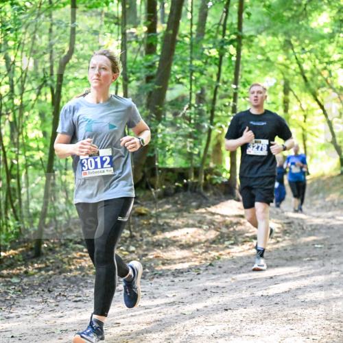 28.09.2025 - 33. Volkslauf durch das schöne Alstertal Dr. Thomas Lammeyer http://msf.ph/oto/8962304 28.09.2025 11:10:40 Laufen 3012, 279 meine-sportfotos.de