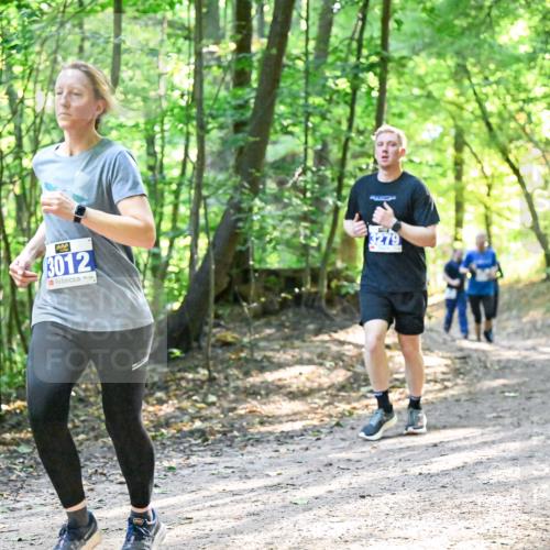 28.09.2025 - 33. Volkslauf durch das schöne Alstertal Dr. Thomas Lammeyer http://msf.ph/oto/8962305 28.09.2025 11:10:40 Laufen 3012, 3279 meine-sportfotos.de