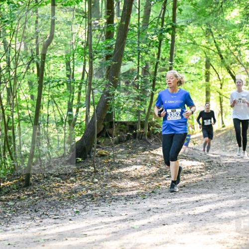28.09.2025 - 33. Volkslauf durch das schöne Alstertal Dr. Thomas Lammeyer http://msf.ph/oto/8962312 28.09.2025 11:10:45 Laufen 3352, 199, 98 meine-sportfotos.de