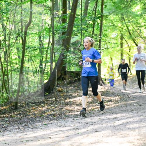 28.09.2025 - 33. Volkslauf durch das schöne Alstertal Dr. Thomas Lammeyer http://msf.ph/oto/8962314 28.09.2025 11:10:46 Laufen 3352, 199 meine-sportfotos.de