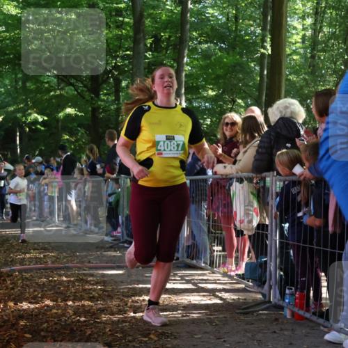 28.09.2025 - 33. Volkslauf durch das schöne Alstertal Strokosch-Dieckow http://msf.ph/oto/8962316 28.09.2025 10:57:38 Ziel 4087, 4088, 4103, 4119, 4126, 4920 meine-sportfotos.de